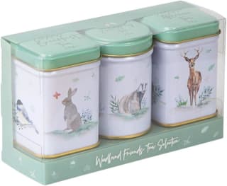 New English Teas Woodland Friends Mini Tea Tin Set for £3.50