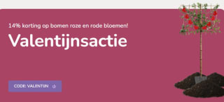 14% korting op alle bomen met roze/rode bloemen bij Bomenkopen