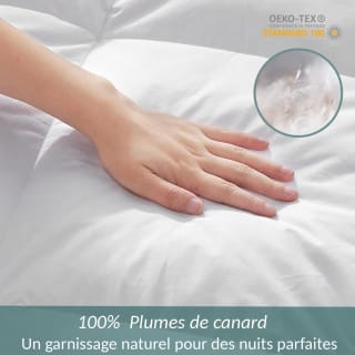 Couette Luxe Plume 220x240 pour 29,99€ chez Sampur