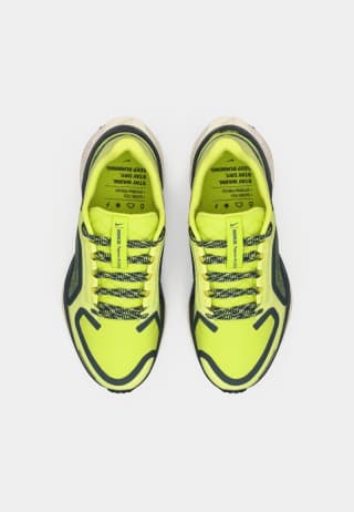 Nike Performance PEGASUS 41 GoreTeX por 79,90€