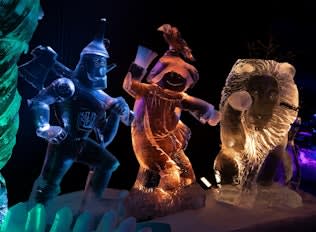 Entreeticket Het Nederlands IJsbeelden Festival in Biddinghuizen voor €17,95