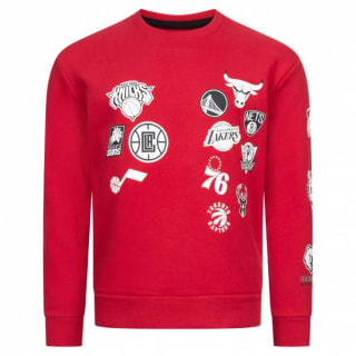 Sudadera Hollister x NBA All Team Collab por 9.17€
