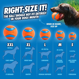 Chuckit Golf Ultra Ball (taille L) pour chien à 5,47€ chez Amazon