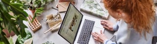 Gratis online kamerplantencursus bij Intratuin