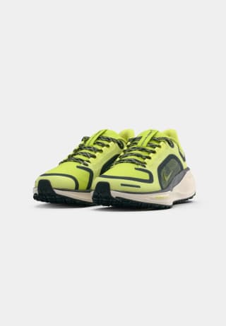 Nike Performance PEGASUS 41 GoreTeX por 79,90€
