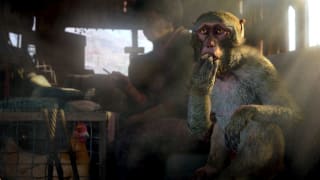 Far Cry 4 én Far Cry Primal voor €4,99 in de PS store