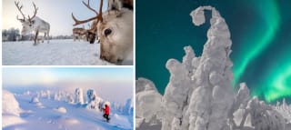 Escapada 5 días Fin de Año entre auroras, renos y nieve en Laponia desde 1849€