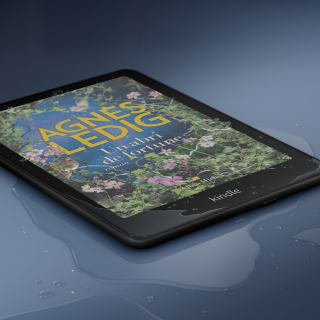 Kindle Colorsoft (16 Go) à 199,99€ chez Amazon