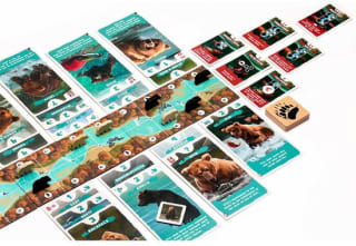 Asmodee Katmai -The Bears of Brooks River kaartspel voor €17,99 bij Bol