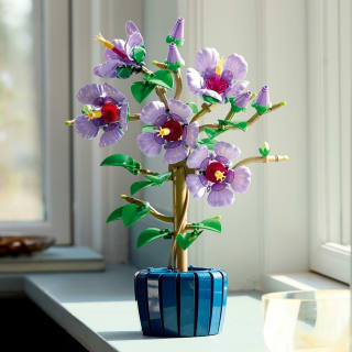 LEGO Botanicals Hibiscus - 10372 voor €43,99 bij Bol