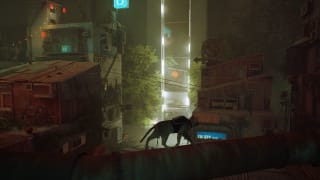 Stray pour 11,33€ chez Fanatical