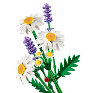LEGO Botanicals Marguerites 11508 pour 9,59€ chez Carrefour