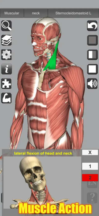 Gratuit 3D Anatomy sur l'App Store (Apple)