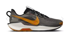Chaussures Trail Nike Pegasus Trail 5 à 131€