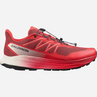 Chaussures de running homme Alpharide 2 SALOMON pour 69,99€ chez Intersport
