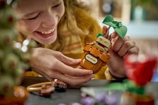 LEGO Harry Potter Zweinstein Kruidenkunde Planten (76474) voor €59,99 bij Bol