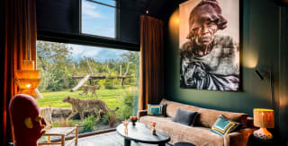 Safari Lodge & Suite Zoo de la Flèche à partir de 152€ chez Voyage Privé