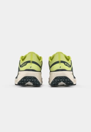 Nike Performance PEGASUS 41 GoreTeX por 79,90€