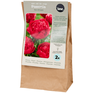 Verschillende soorten bloembollen vanaf €1,67 bij de Action