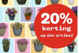 20% korting op 1 artikel naar keuze bij Welkoop