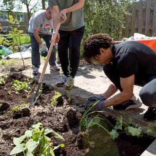 NK Tegelwippen met inruilen van je stoeptegels voor planten of plantenvouchers