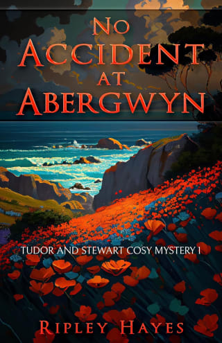 o Accident at Abergwyn: Tudor and Stewart Cosy Mystery 1 (Tudor and Stewart Abergwyn