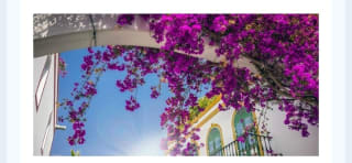 Gran Canaria Hotel+Vuelos con Todo incluido 5 días desde 352€.