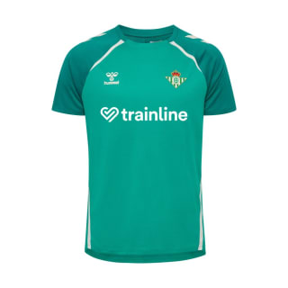 Camiseta Entrenamiento Hombre Verde 25/26 ahora por 13,98€