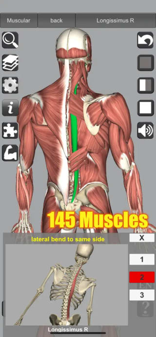 3D Anatomy Gratis en Apple