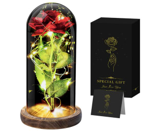 Rosa Eterna Seachrgif para regalo por 9,98€