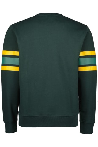 RAIZZED Menston sweater Boston Green voor €7,99 bij Otrium