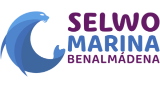 20% de descuento y la oportunidad de estar muy cerca de los leones marinos