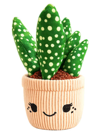 Pluchen plant voor €1,99 bij Dirk