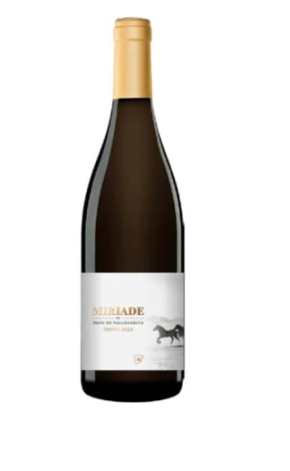 6 Botellas de Miriade by Pago de Vallegarcía 2023 por 41€
