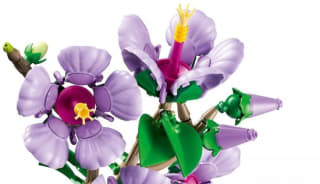 LEGO Botanicals Hibiscus - 10372 voor €43,99 bij Bol
