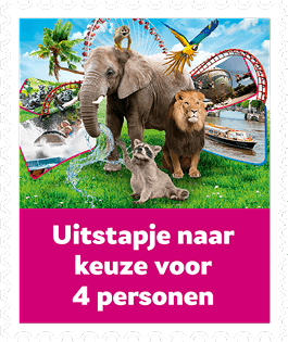 Uitstapje naar keuze voor 4 personen voor €16 per lot bij Vriendenloterij