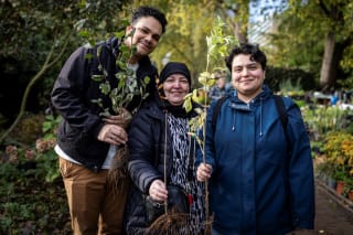 Gratis boompje (Wilde Appel of Gele Kornoelje) bij De Gezonde Stad