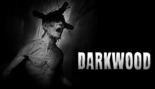 Darkwood por $20 en Steam