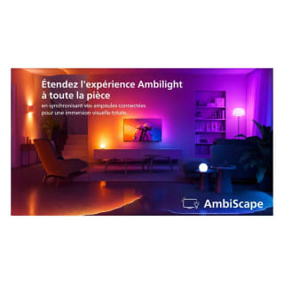 TV Philips 55PQS9001 The One pour 600,36€ chez EasyLounge