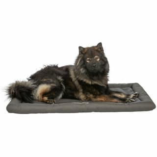 Trixie Samoa hondendeken reisdeken (110x70 cm) voor €8,50 bij Bol