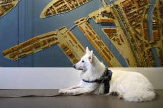 Gratis toegang Museum Rotterdam ’40-’45 NU bij Museum Rotterdam