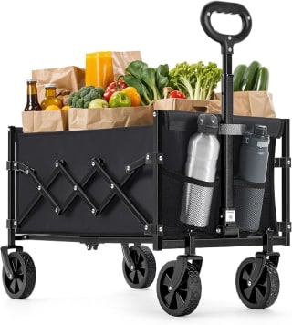 SONGMICS Chariot de transport pliable GFW909B01 90 L pour 42,99€