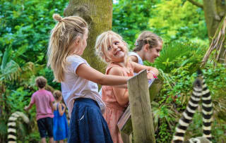 Entreeticket Vogelpark Avifauna + XXL speeltuin voor €17,50 via Tripper
