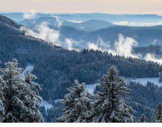 Escapada Selva Negra: 3 días, cena y tour cervecero para 2 desde 218€