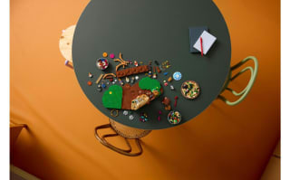 LEGO Ideas Willy Wonka en de Chocoladefabriek 21360 voor €149,99 bij DreamLand