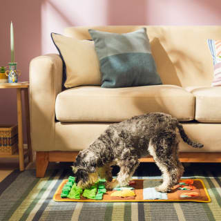 Alfombra olfativa para mascotas Rebaja $6.490 solo en CasaIdeas, Chile