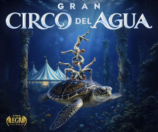 Gran Circo del Agua: entradas desde 12€ con 40% de descuento en Taquilla