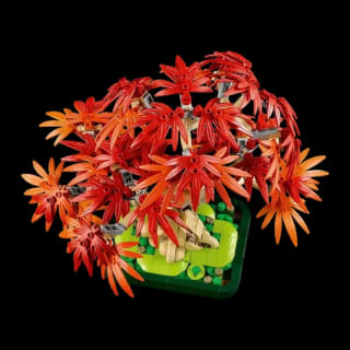 LEGO Botanicals Bonsái Arce Rojo 10348 por 12,95€ en Power Planet Online