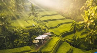 Escapada a Indonesia a tu aire: Bali, Ubud y Seminyak desde 1169€