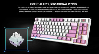 MSI Forge GK600 TKL Wireless Violet voor €59,90 bij Bol